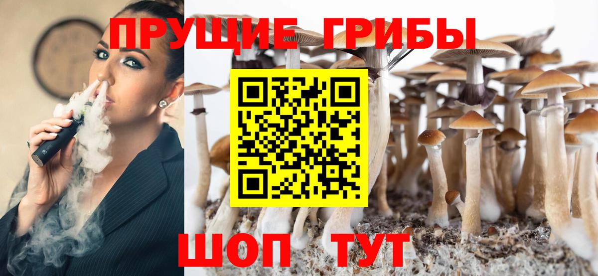 Галлюциногенные грибы Psilocybe Лесозаводск